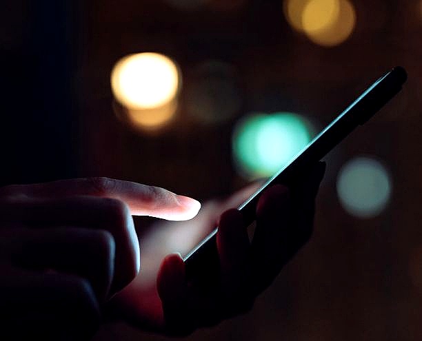 New Suspect Revealed in Ongoing Investigation Into Online Cat Abuse Network