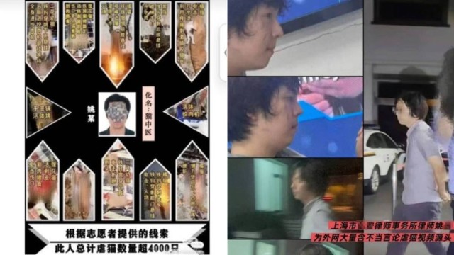 Shanghai lawyer allegedly slaughters 4,000 cats in graphic videos sold online over eight years (China)