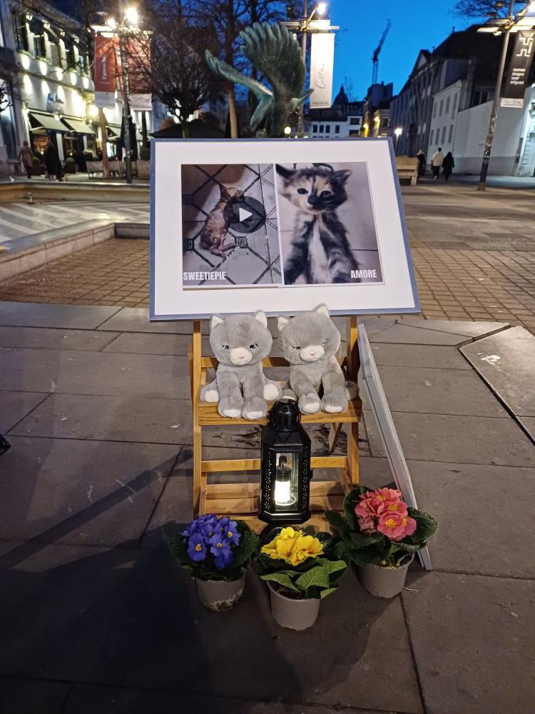 A Feline Guardians protest in Belgium
