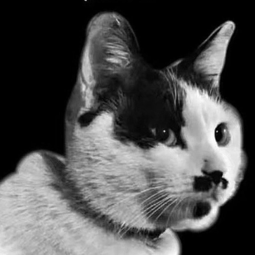 feline guardians symbol