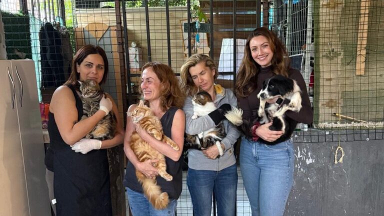 Donate to Paws of Hope Rescue Turkey