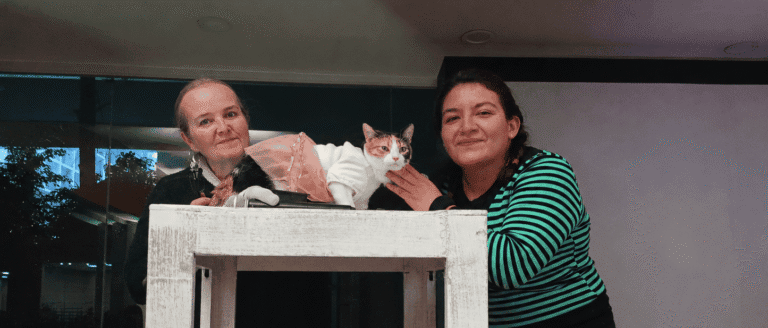 Donate to Unidos por los Michis